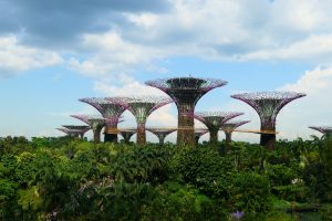 Gardens by the Bay. Absolutely stunning to see and walk around the gardens.